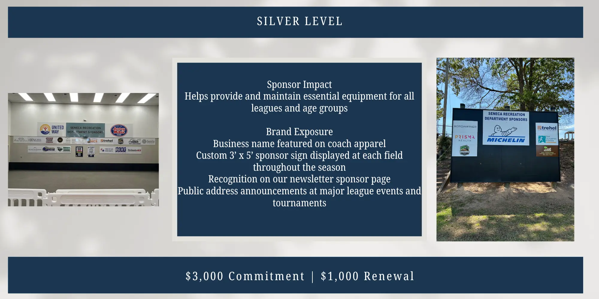 Silver Level Sponsorship